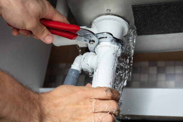Best Flood restoration services  in Mountain View, HI