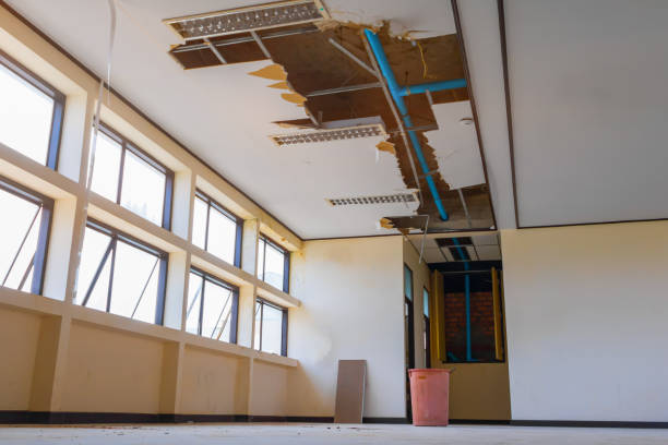 Best Mold removal after water damage  in Mountain View, HI