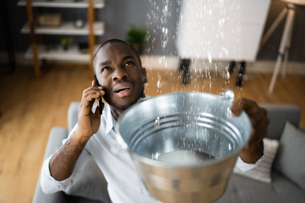 Best Professional water damage repair  in Mountain View, HI