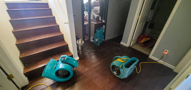 Best Water damage restoration insurance claims  in Mountain View, HI