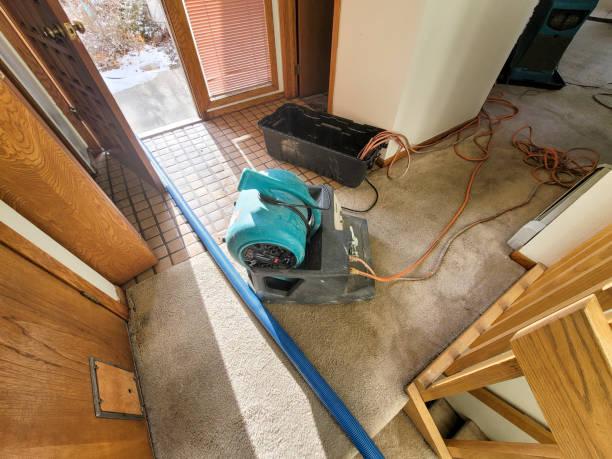 Best Residential water damage restoration  in Mountain View, HI
