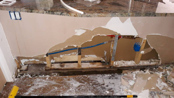 Best Flooded house restoration  in Mountain View, HI
