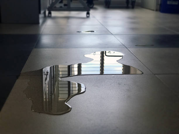 24/7 water damage repair in Mountain View, HI
