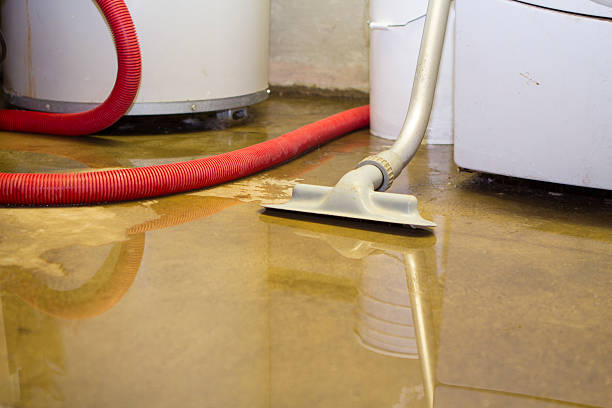 Best Commercial water damage restoration  in Mountain View, HI