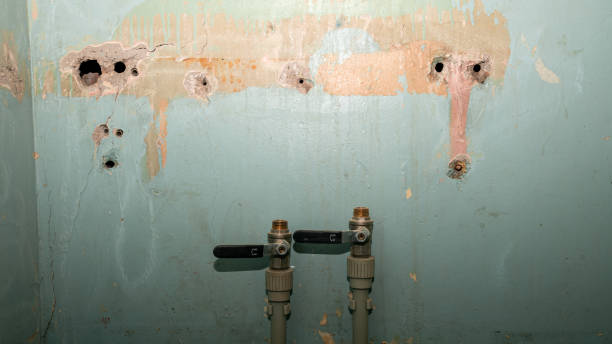 Best Sewage cleanup and water damage restoration  in Mountain View, HI