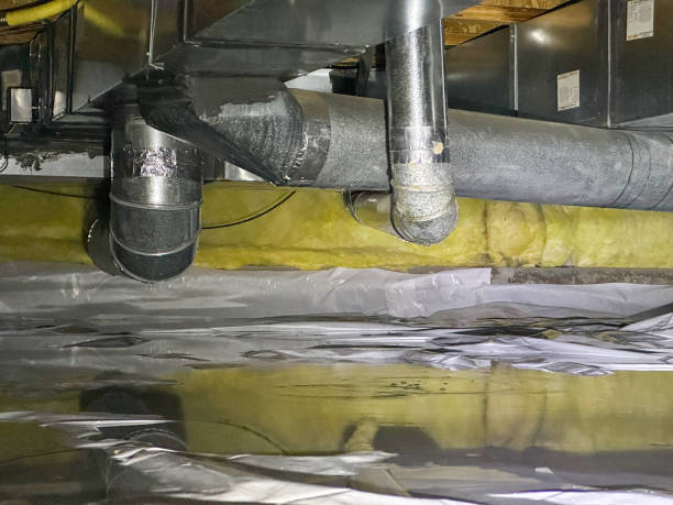 Best Flood damage cleanup  in Mountain View, HI