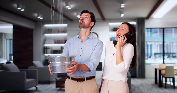 Best Fire Damage Restoration  in Mountain View, HI