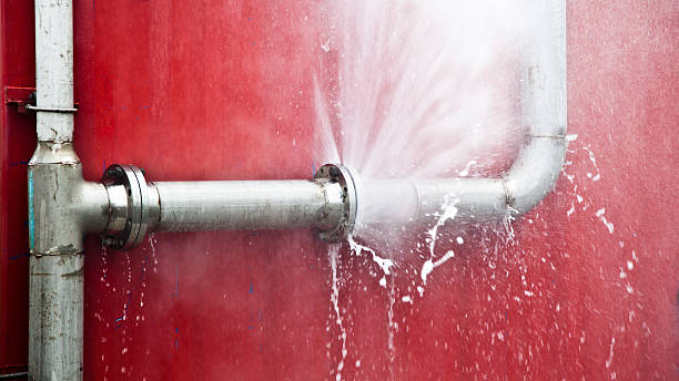 Best Basement water damage restoration  in Mountain View, HI