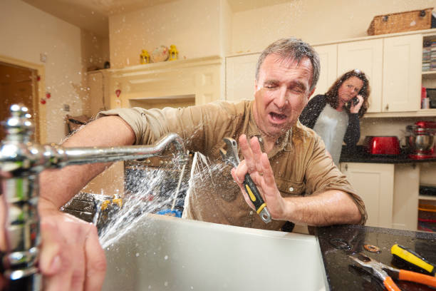 Best Fire Damage Restoration  in Mountain View, HI